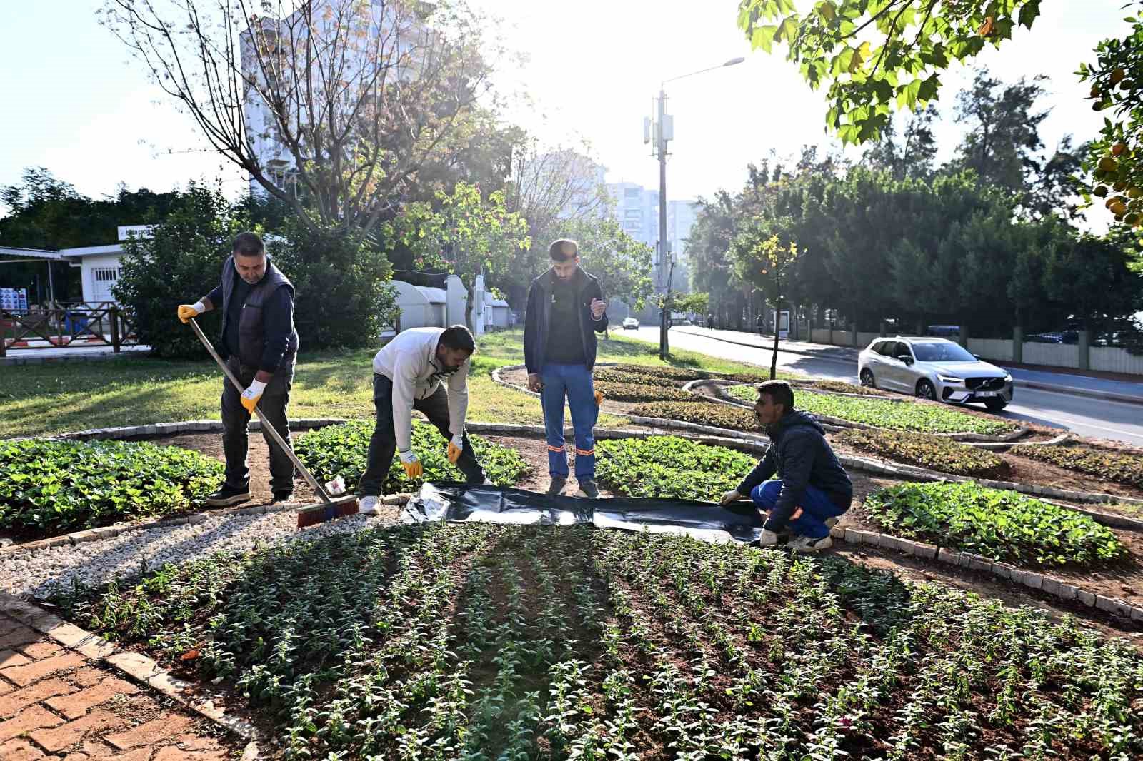Muratpaşa’da Trafik Parkı çiçek bahçesine dönüştü