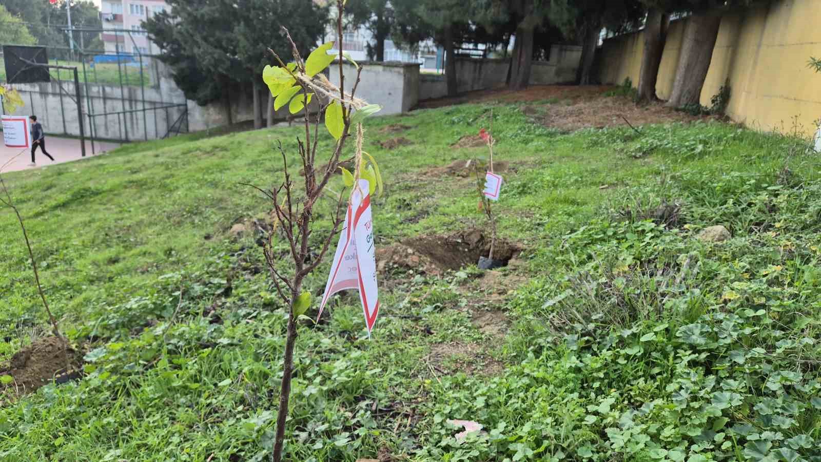 Tekirdağ&rsquo;da &ouml;ğrenciler fidan dikerek T&uuml;rkiye ve Gazze şehitlerinin adını yaşattı
