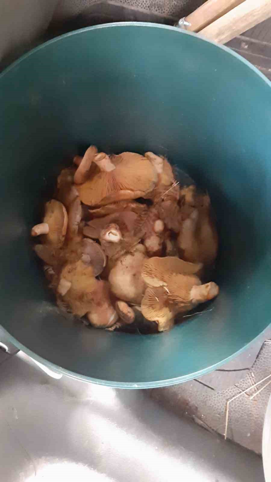 Bolu’da topladığı mantarları yiyen bir kişi zehirlendi
