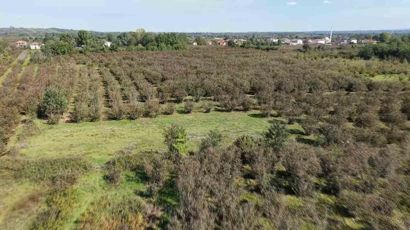 Samsun’da tarım arazileri için kritik toplantı