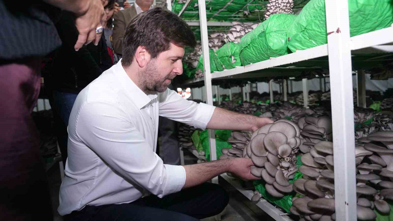 Tarsus&rsquo;ta istiridye mantarı kursunda ilk hasat sevinci
