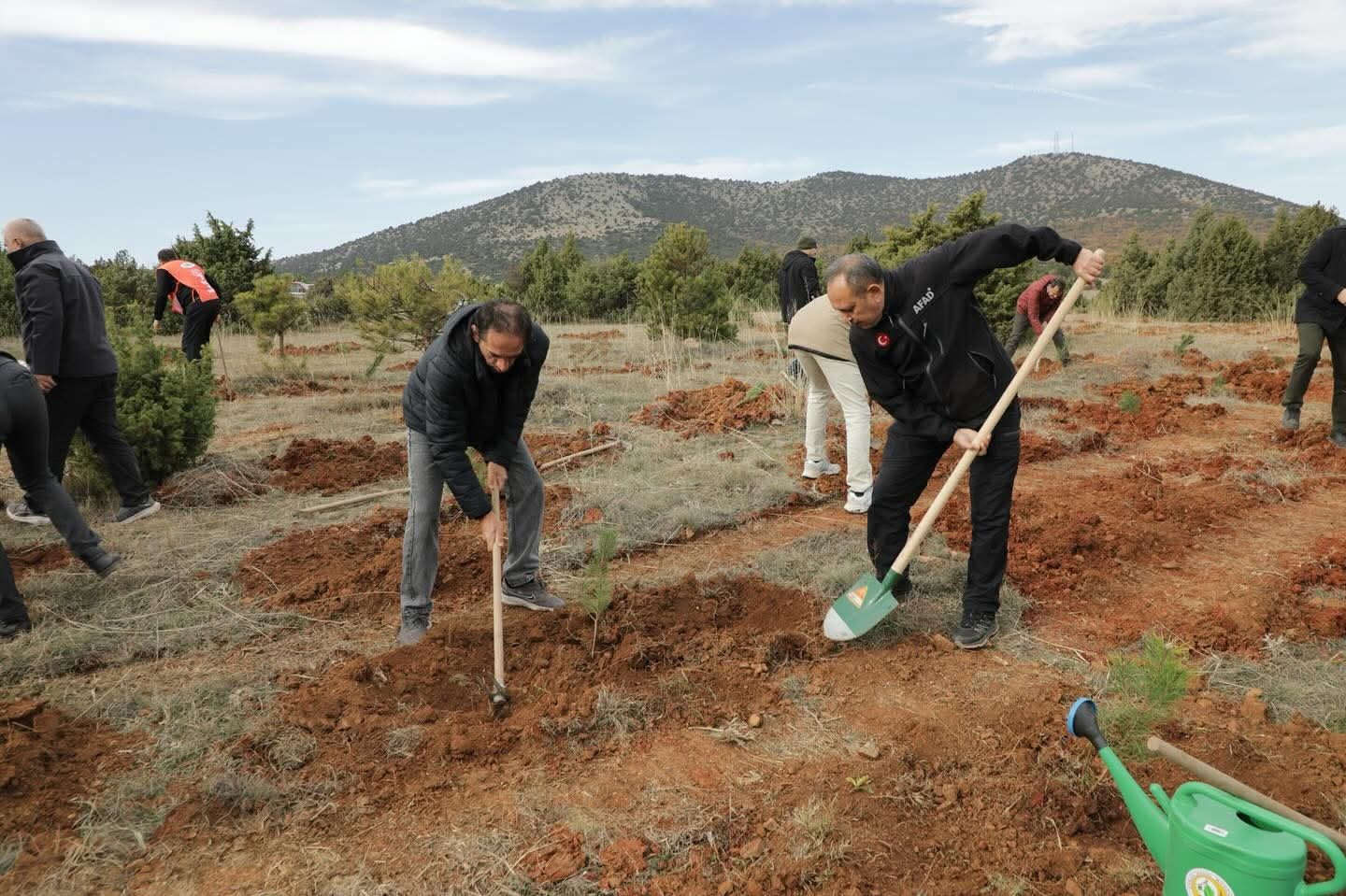 K&uuml;tahya&rsquo;da hatıra ormanına 2 bin fidan dikildi
