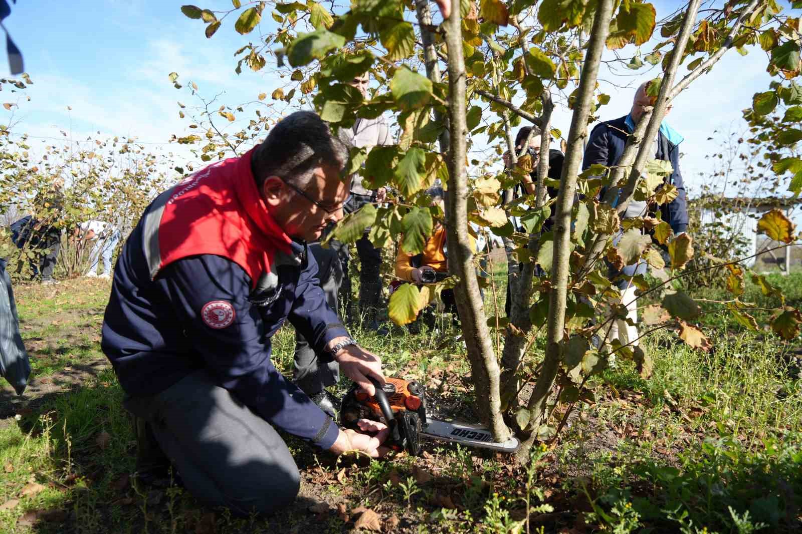 Fındıkta çok dal, çok fındık anlamına gelmiyor