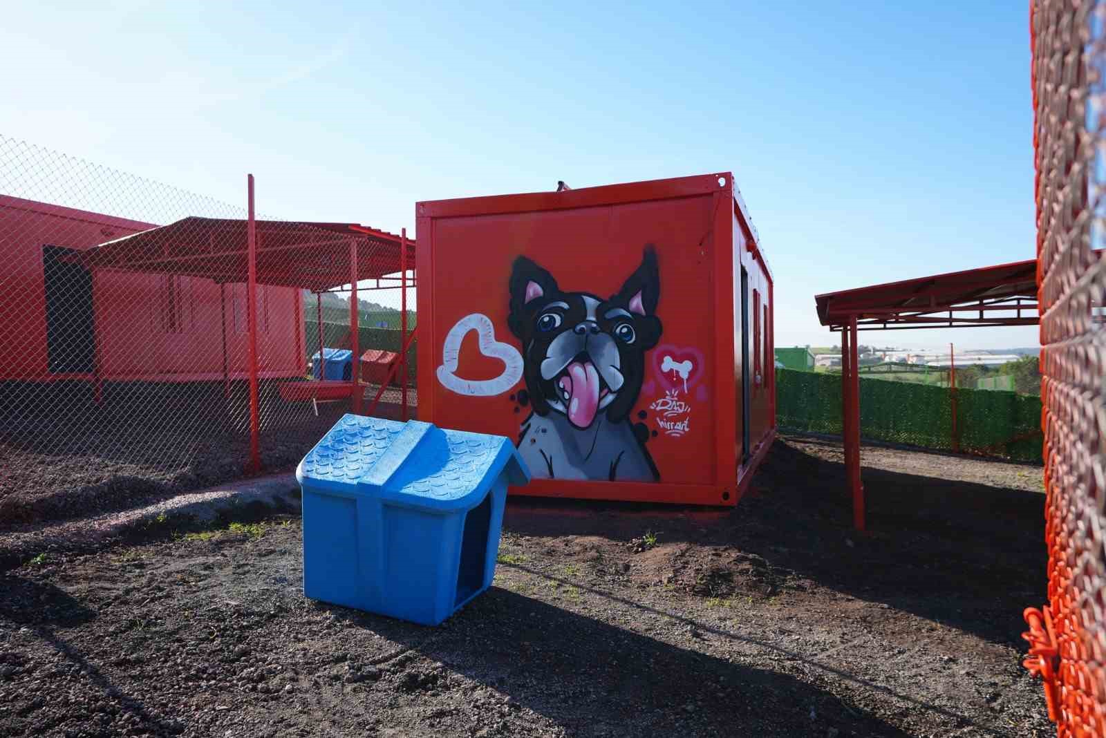 Türkiye’de ilk defa özel can dostlara sıcak yuva Balıkesir’de