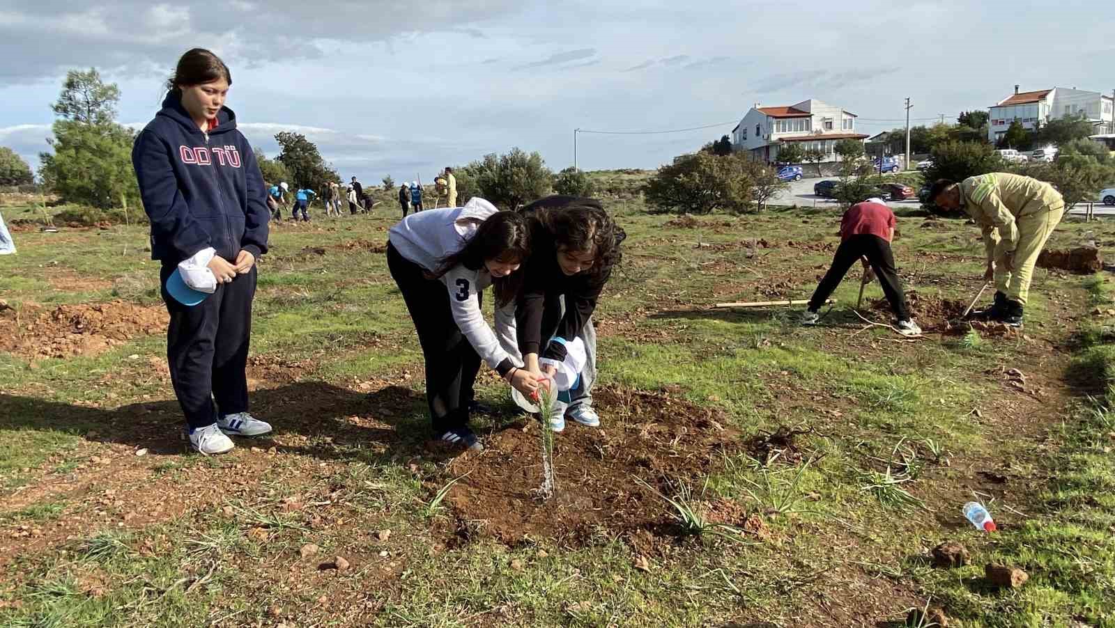 Ayvalık&rsquo;ta ertelenen fidan dikim etkinliğine ilgi yoğun oldu
