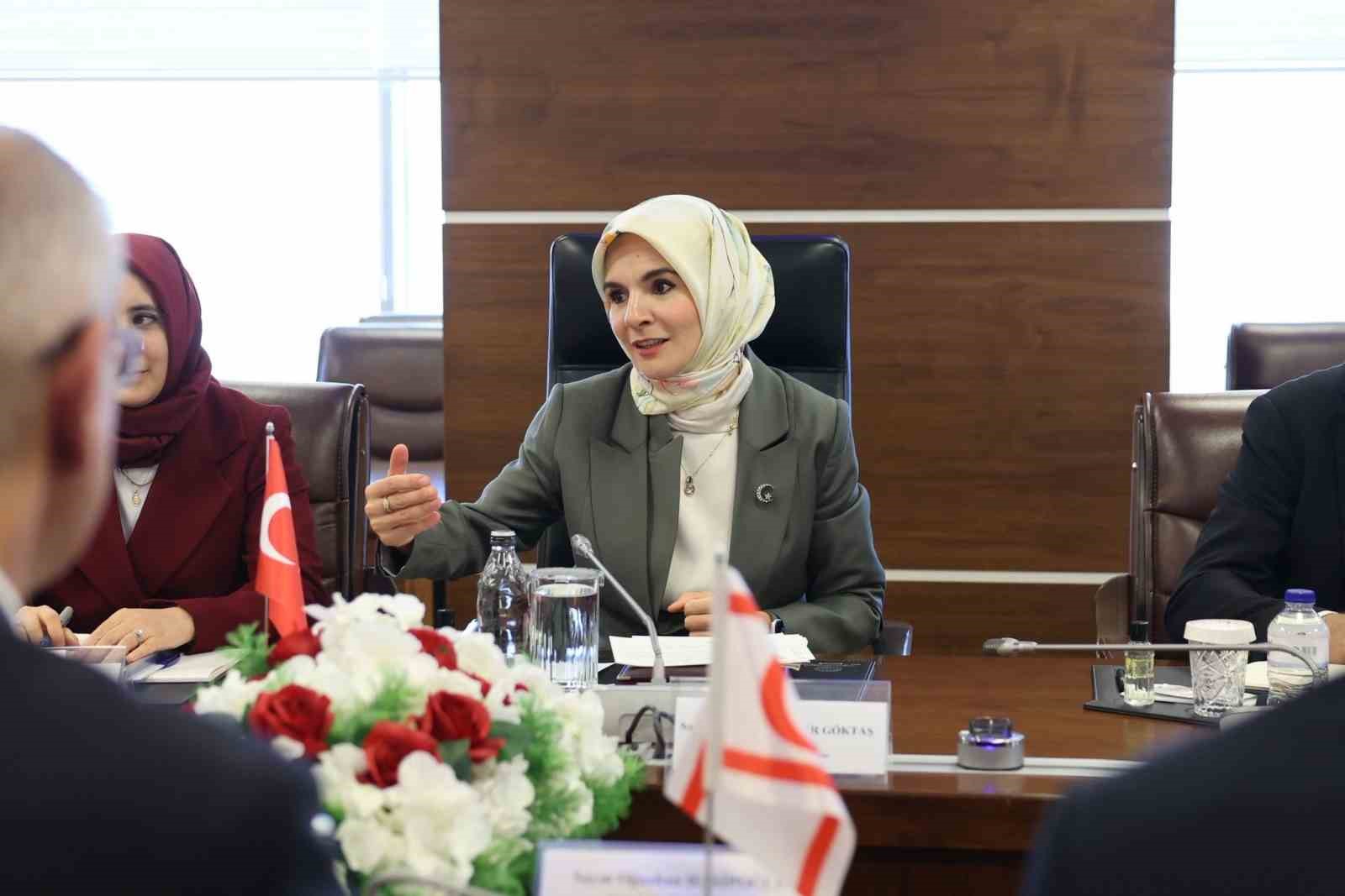 Bakan Göktaş, KKTC Çalışma ve Sosyal Güvenlik Bakanı Hasipoğlu ile bir araya geldi