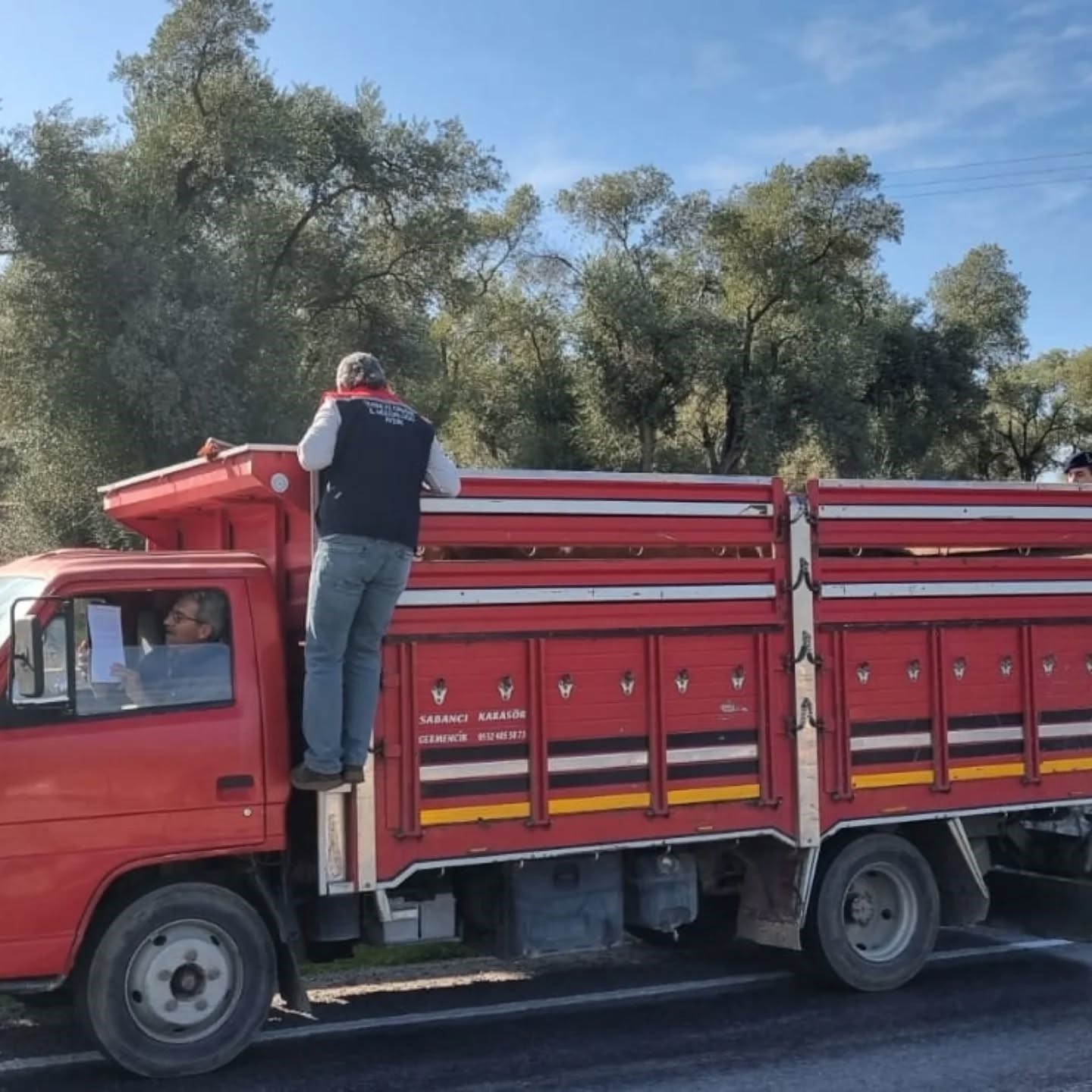 Karpuzlu’da hayvan sevkiyatına denetim