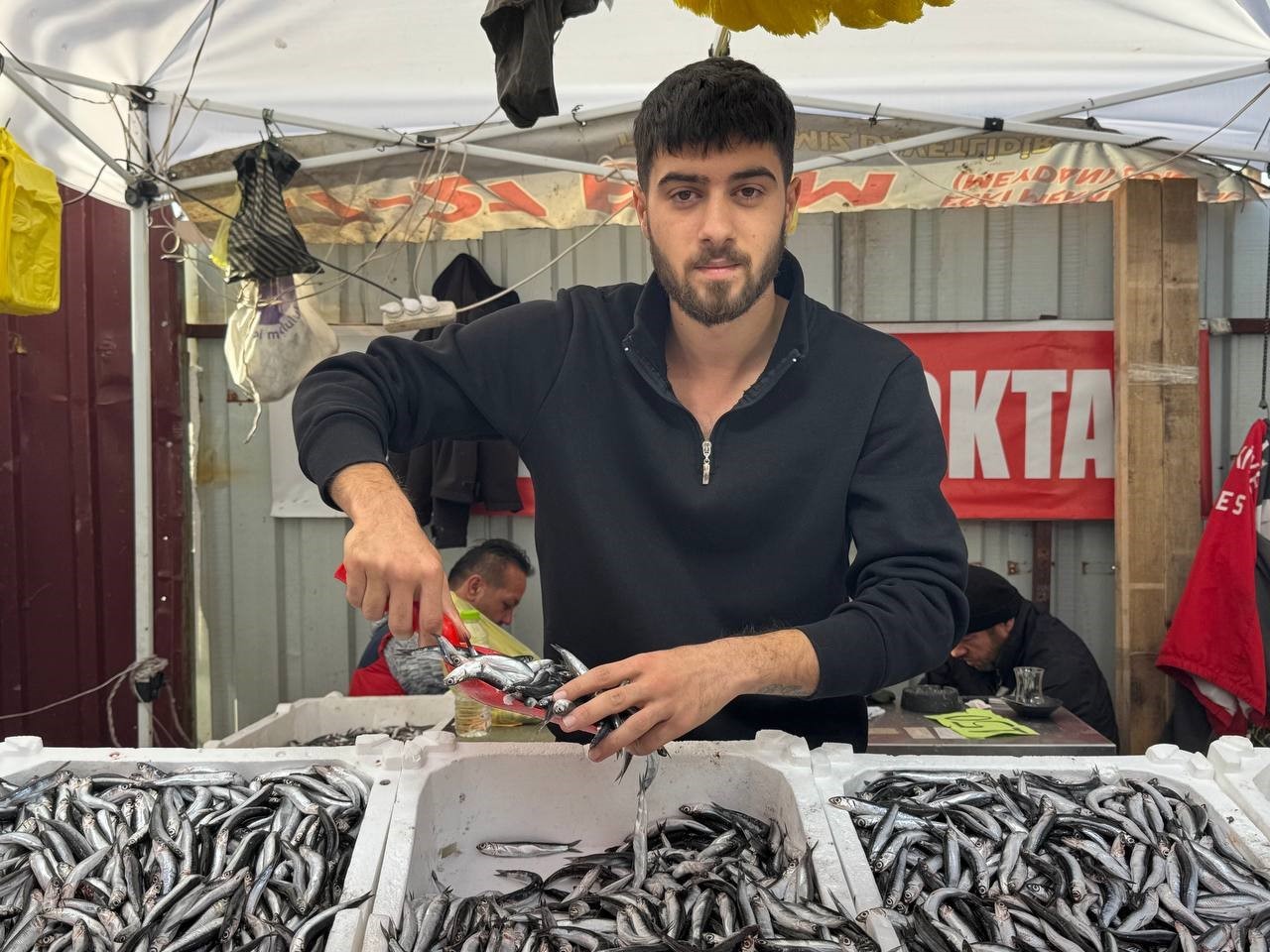 Zonguldak’ta hamsi azaldı, fiyatlar yeniden yükselişte