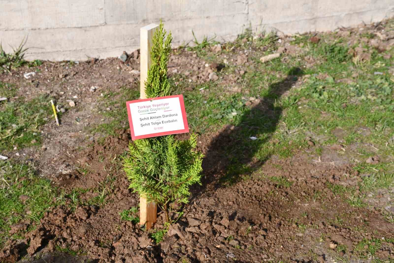 Vezirköprü’de Gazze ve şehitler için fidanlar toprakla buluştu

