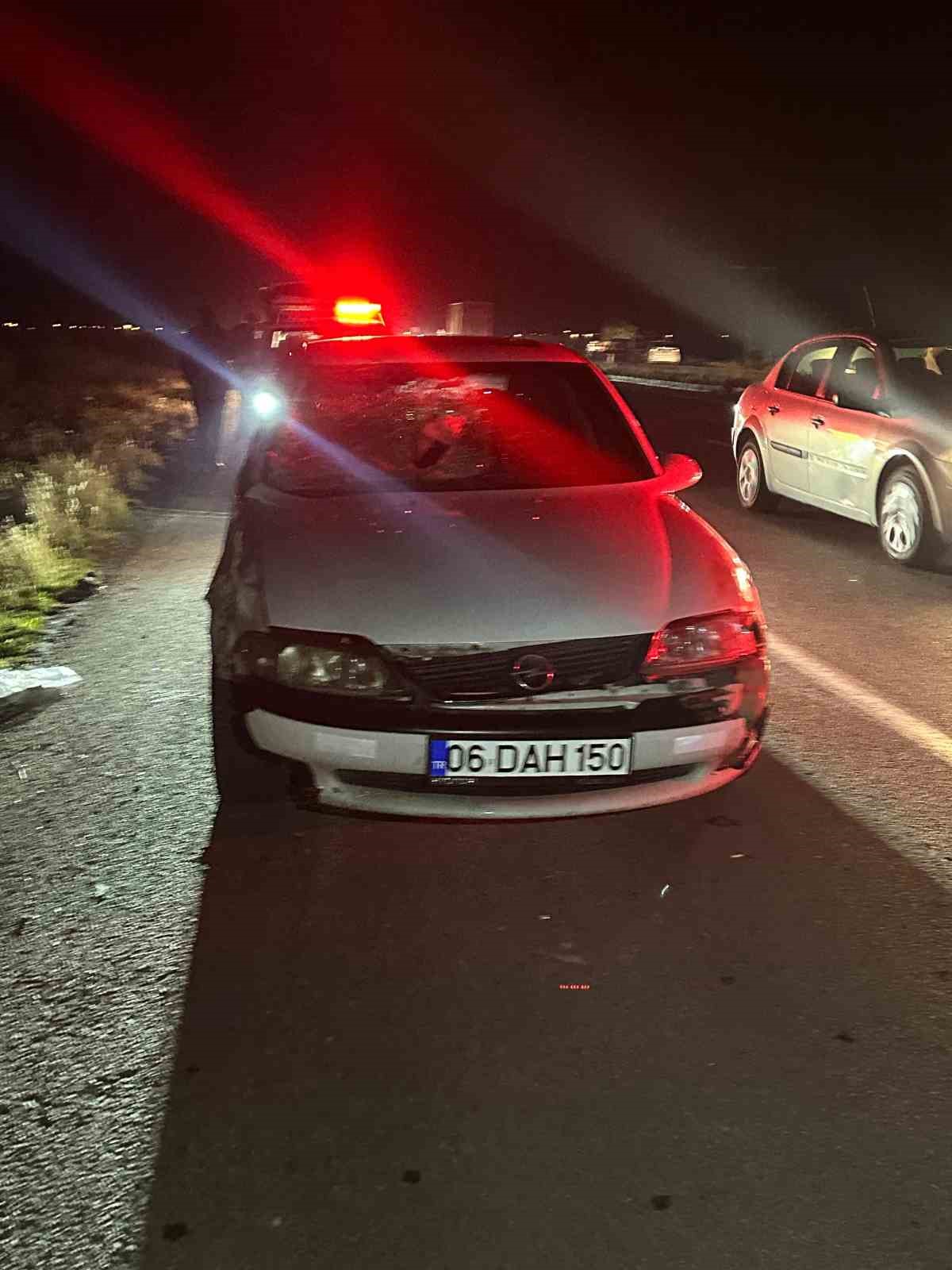 Muş’ta yola çıkan inekler kazaya neden oldu: 1 yaralı