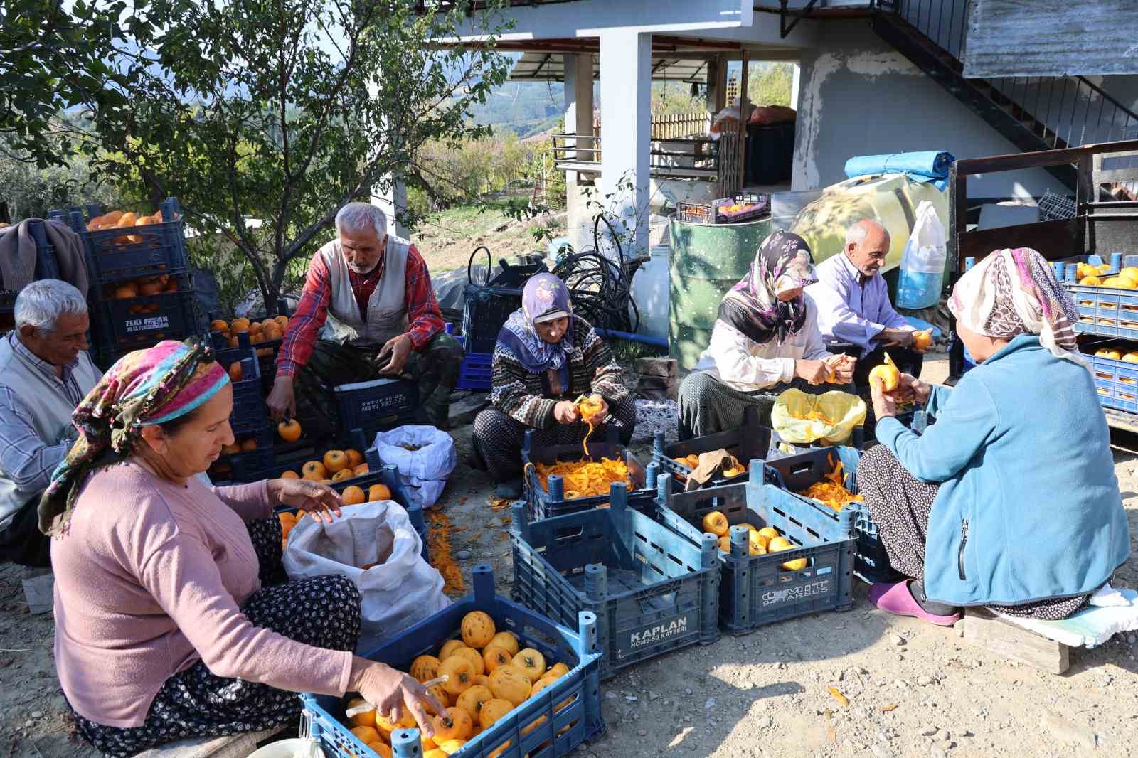 Adana’nın hurmalı köyü, açık fabrikaya dönüştü