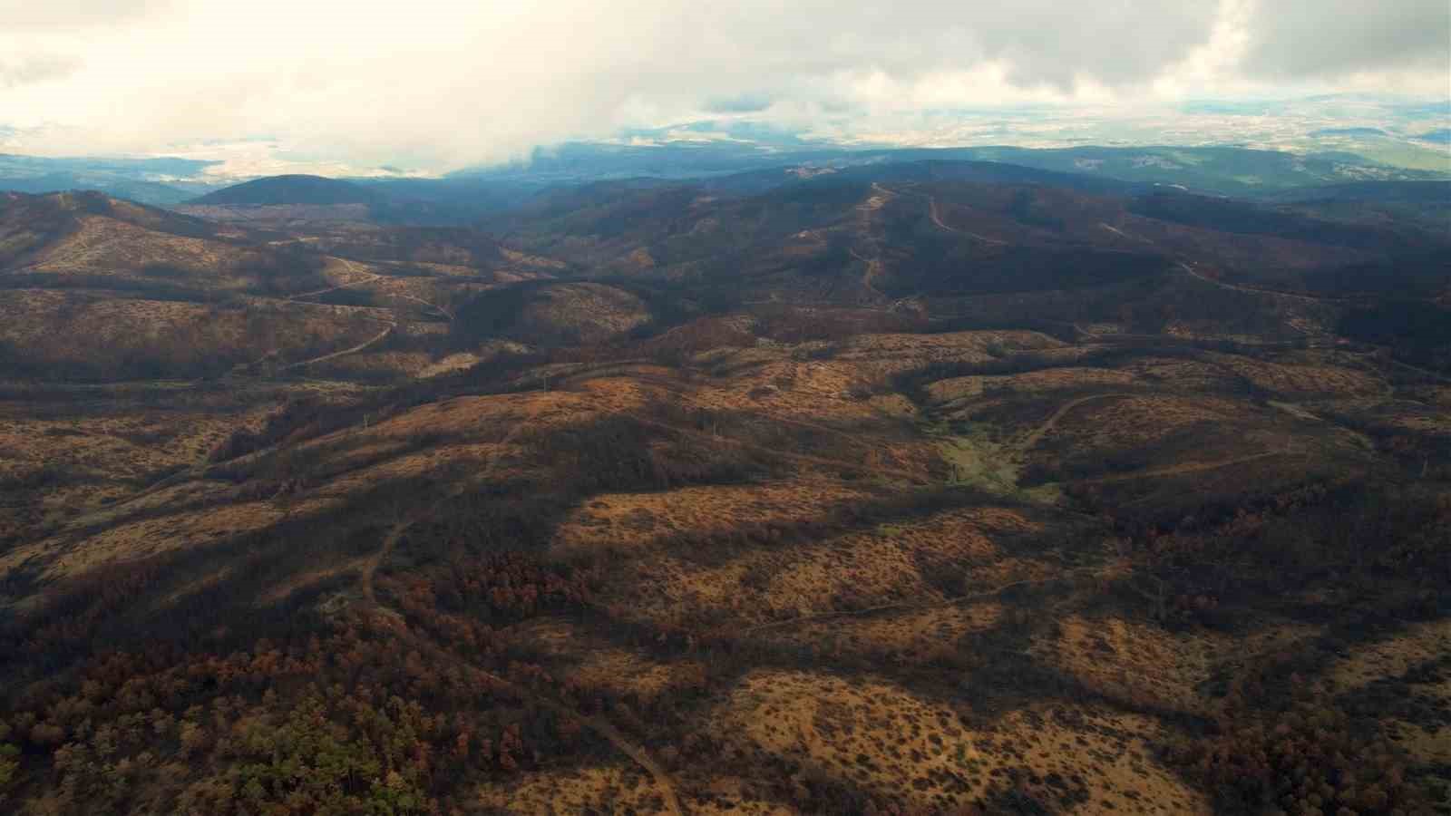 953 hektar kül oldu, Bursa’yı yeniden yeşertecek 300 bin fidan için ilk adım atıldı