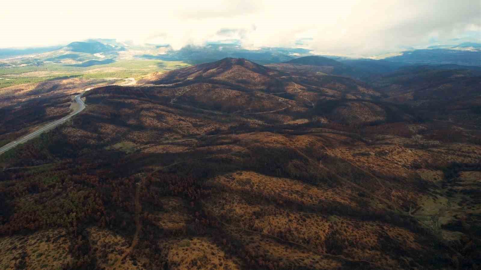 953 hektar kül oldu, Bursa’yı yeniden yeşertecek 300 bin fidan için ilk adım atıldı