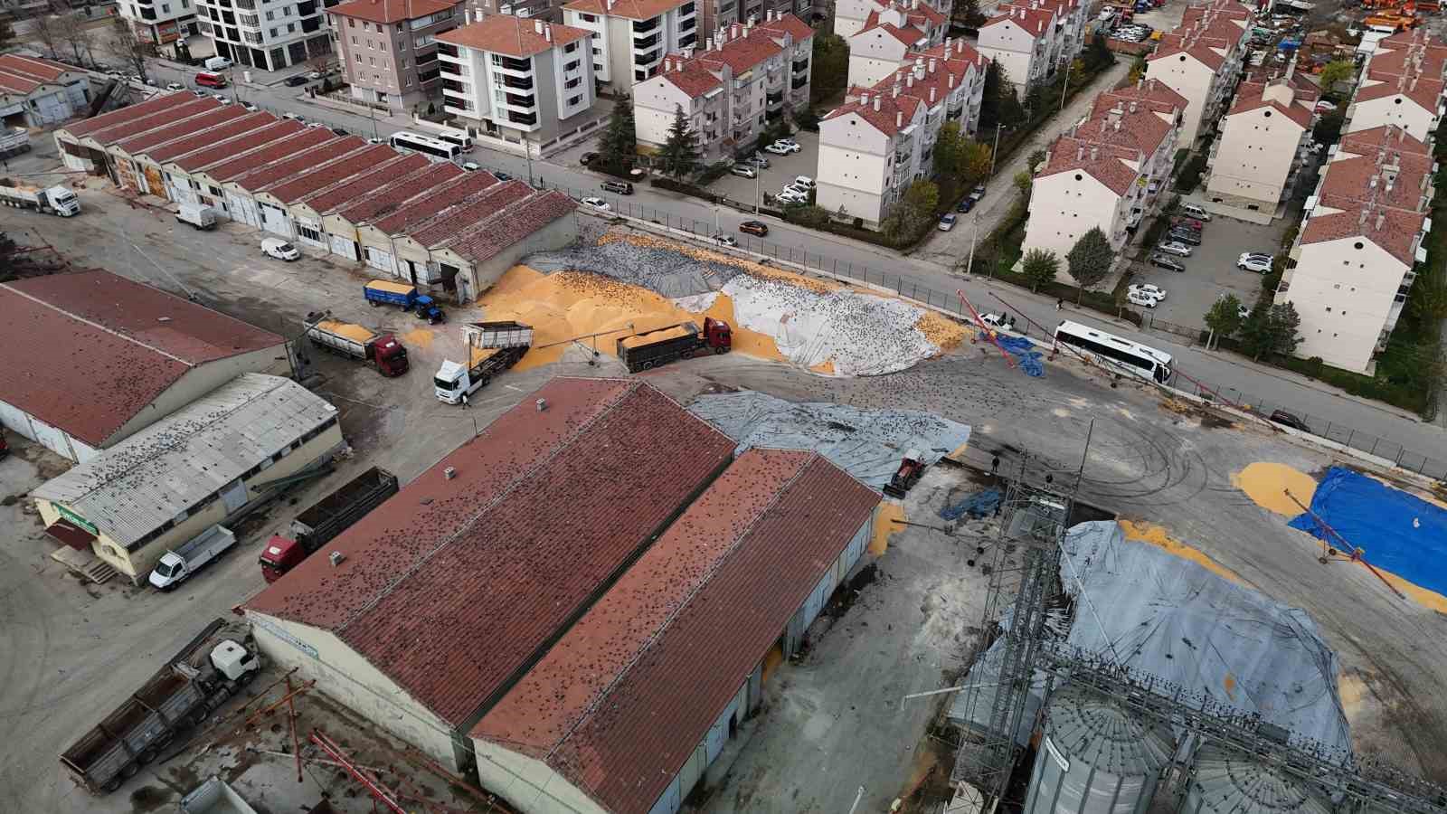 Güvercinler için adeta açık büfe