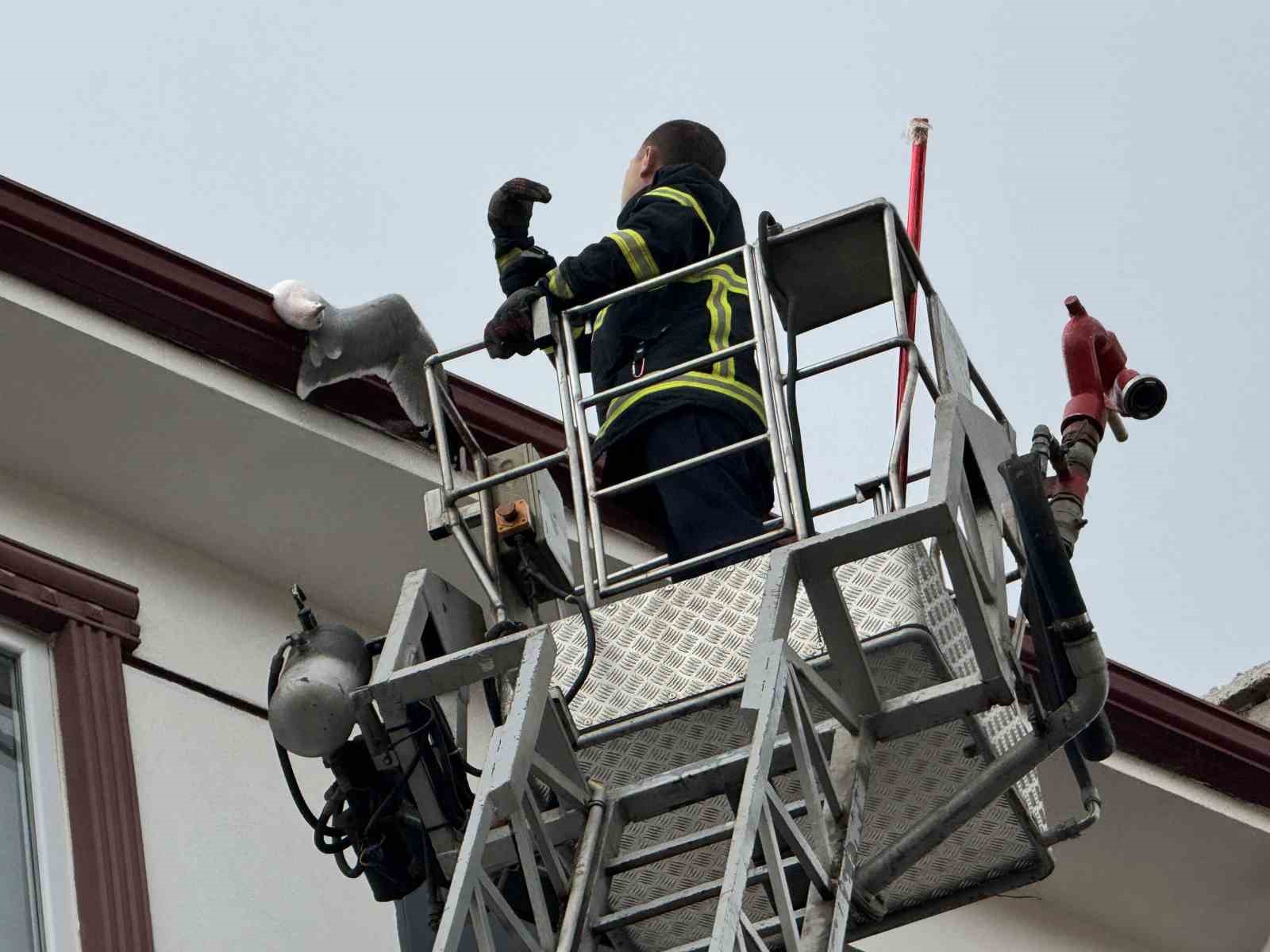 Çatıda sıkışan martıyı itfaiye kurtardı