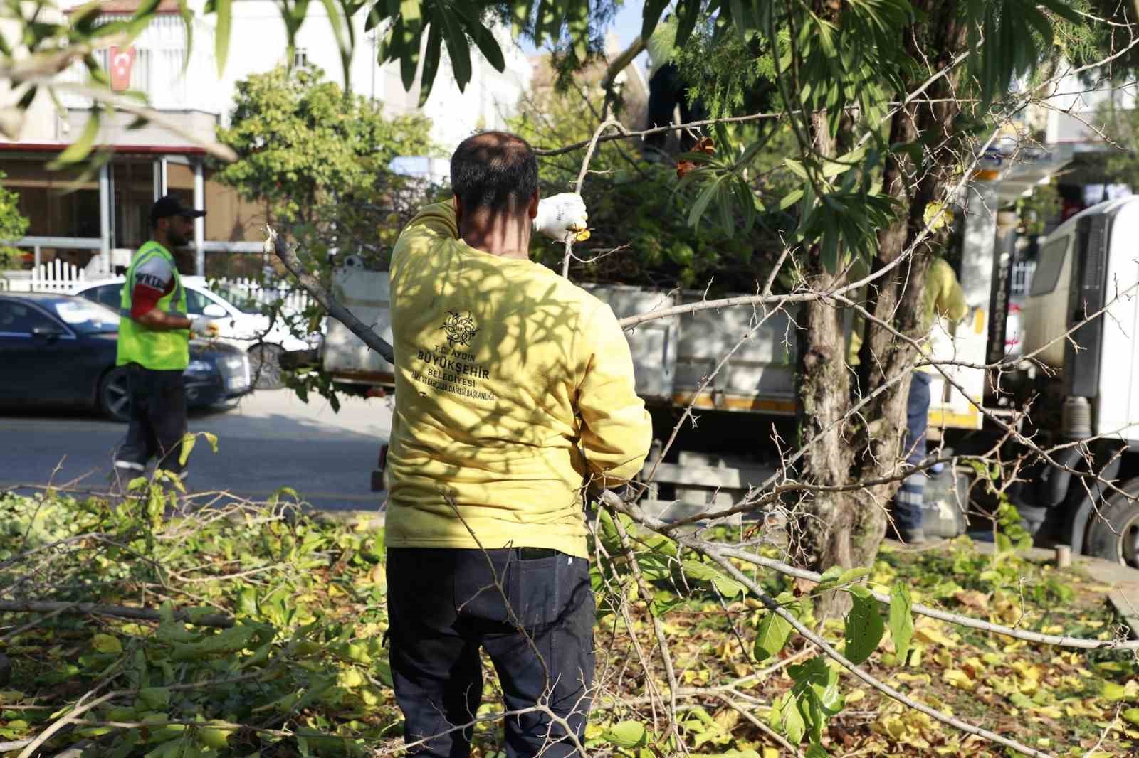 Aydın B&uuml;y&uuml;kşehir Kemer Mahallesi&rsquo;nde budama ve temizlik &ccedil;alışması ger&ccedil;ekleştirdi
