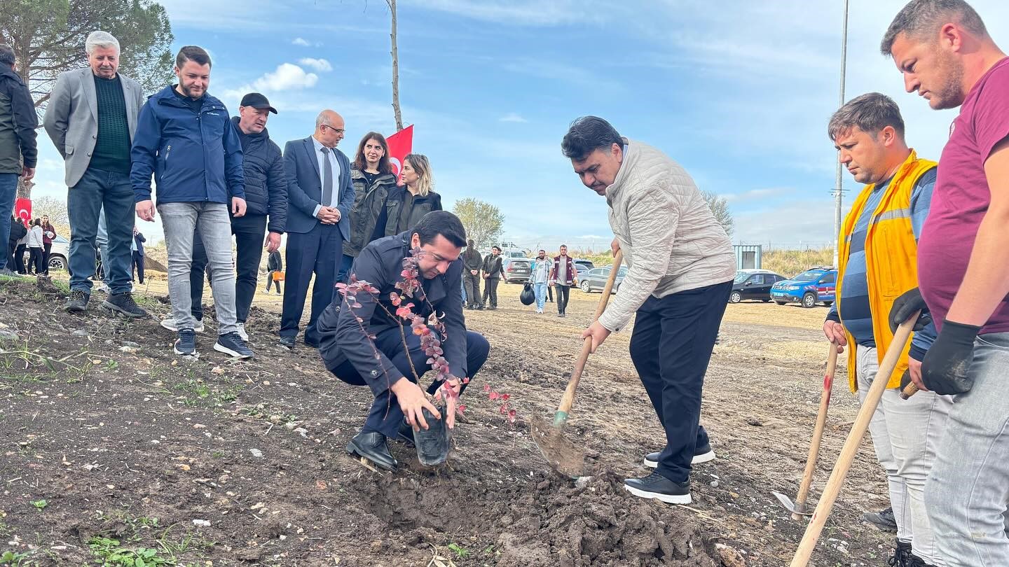 Ağaçlandırma günü etkinliği Havran’da gerçekleştirildi
