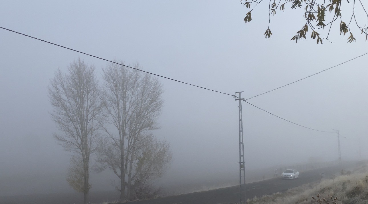 Patnos’ta yoğun sis yaşamı olumsuz etkiledi