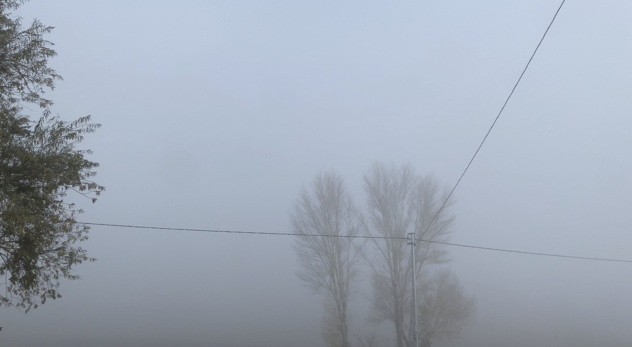 Patnos’ta yoğun sis yaşamı olumsuz etkiledi