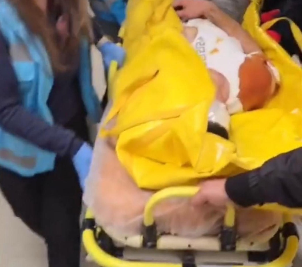 BEUN Alaplı MYO yurdunda gerçeği aratmayan deprem tatbikatı