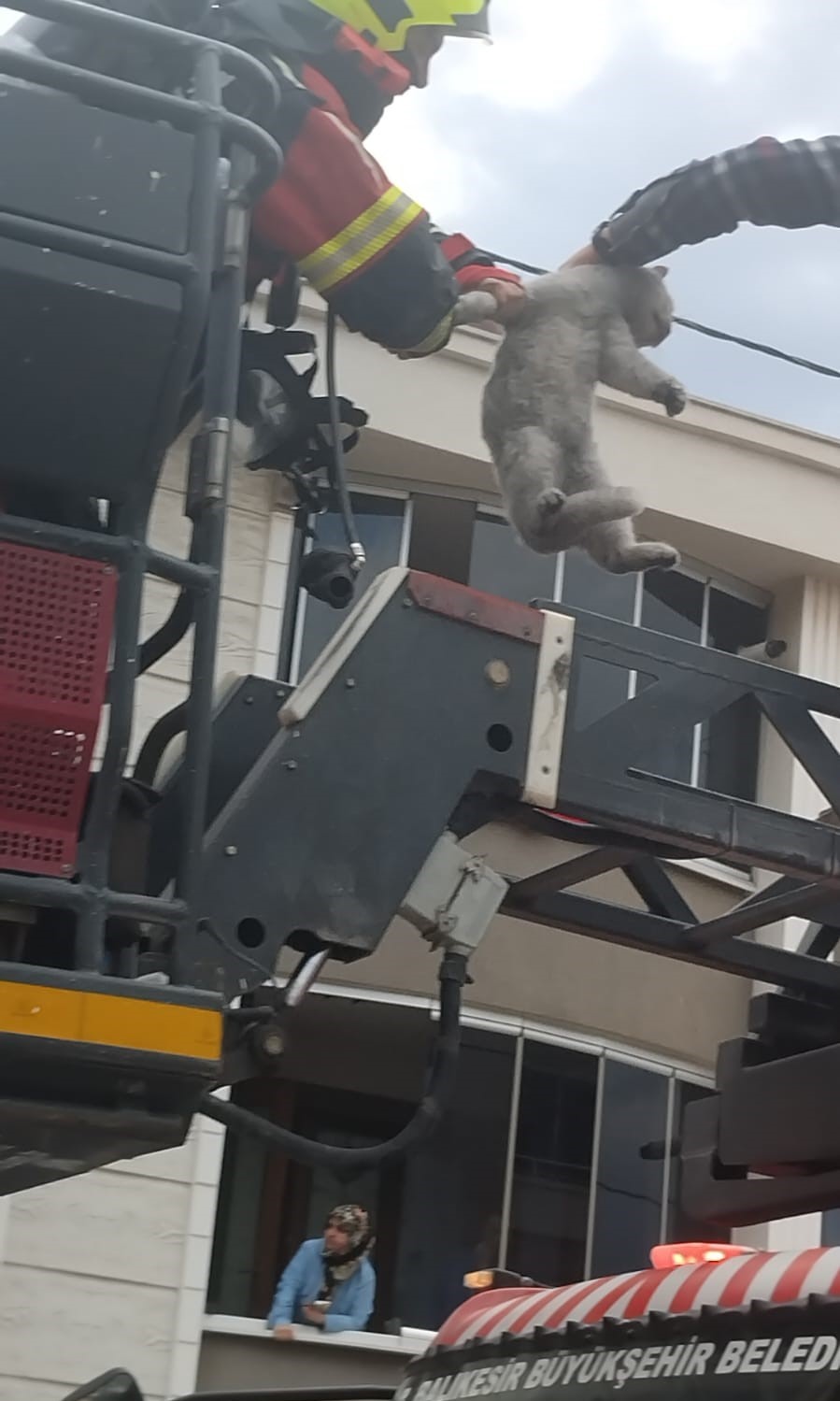 Bandırma&rsquo;da, yangında evde uyuyan kadın ve 3 kedi kurtarıldı
