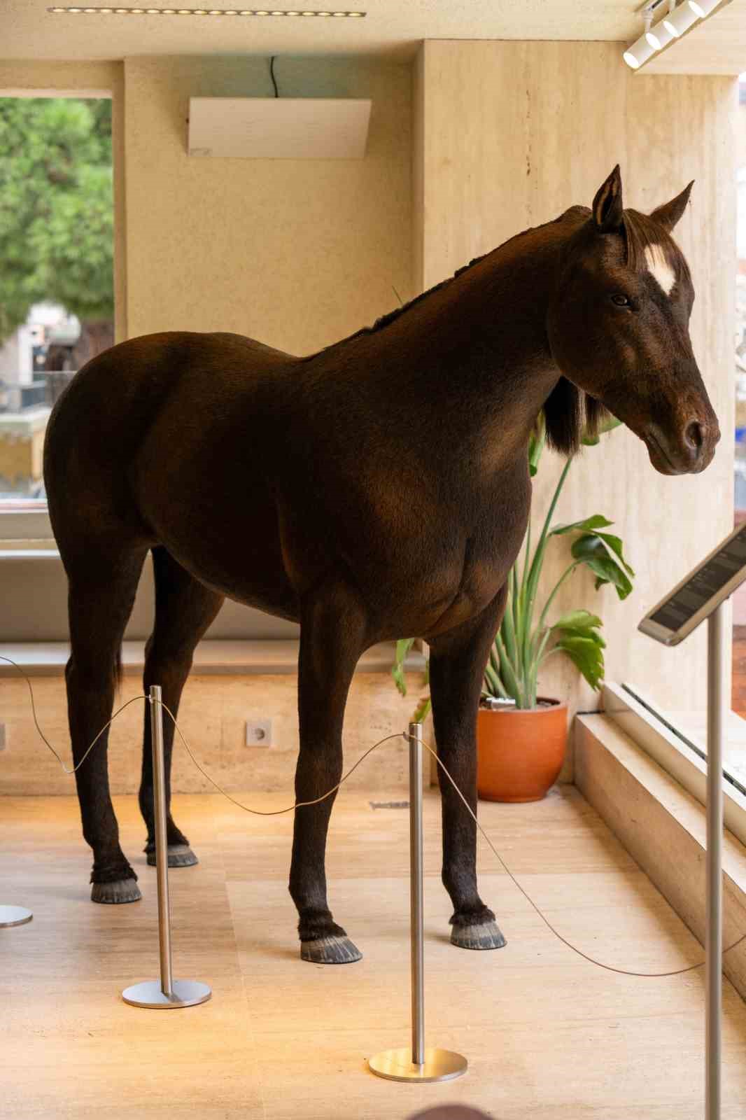 Espressolab, Jurassic Park teknolojisini şehirle buluşturdu
