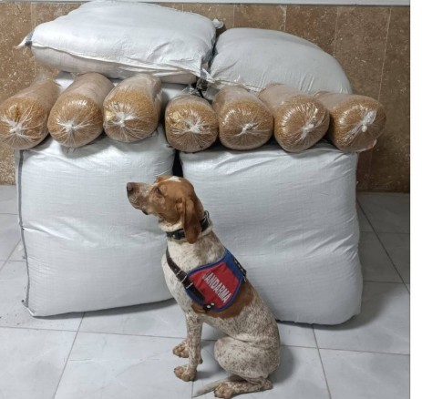 Kırşehir’de yolcu otobüsünde 400 kilogram kaçak tütün ele geçirildi