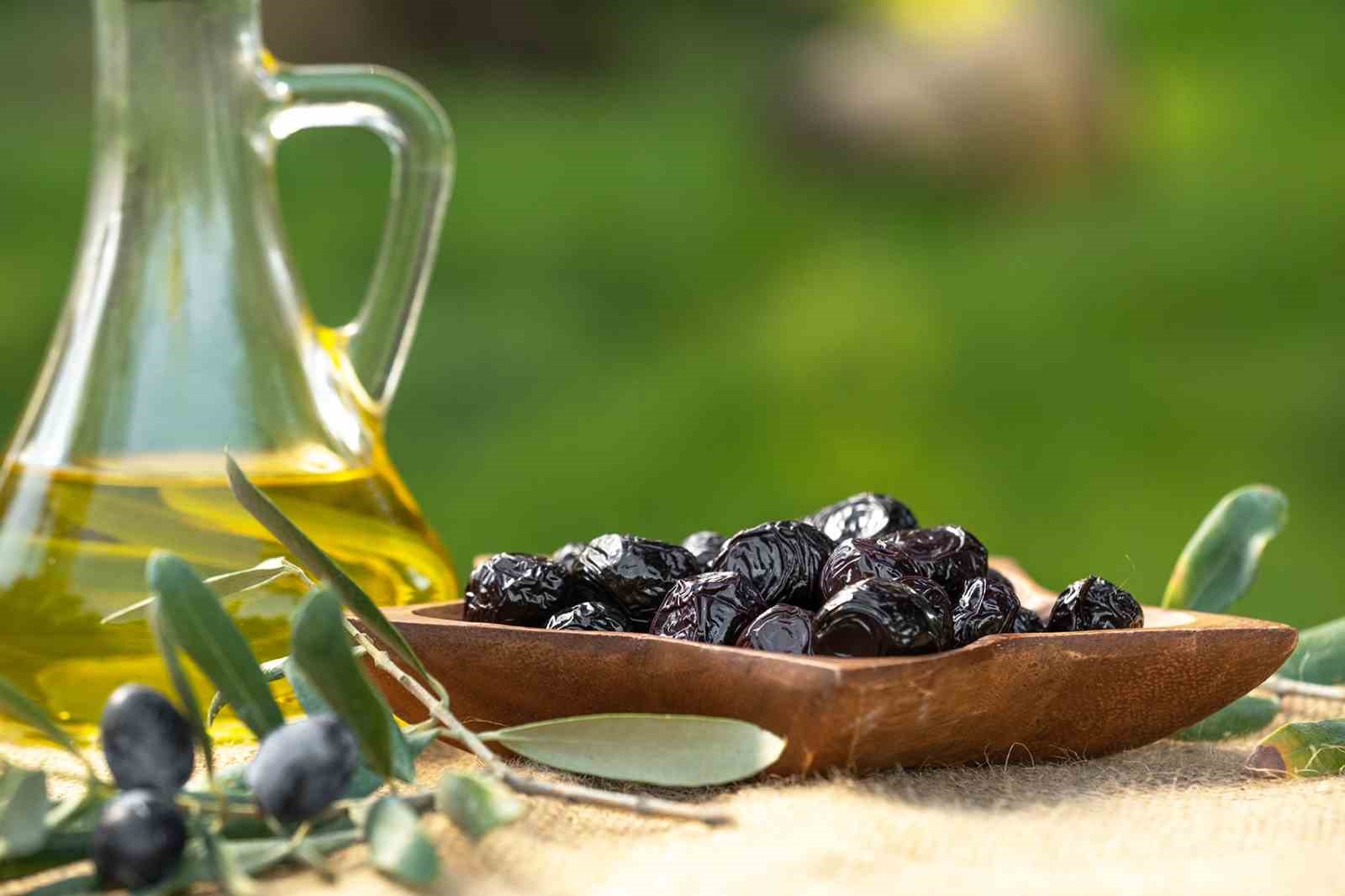 Marmarabirlik’ten 761 milyon liralık ödeme