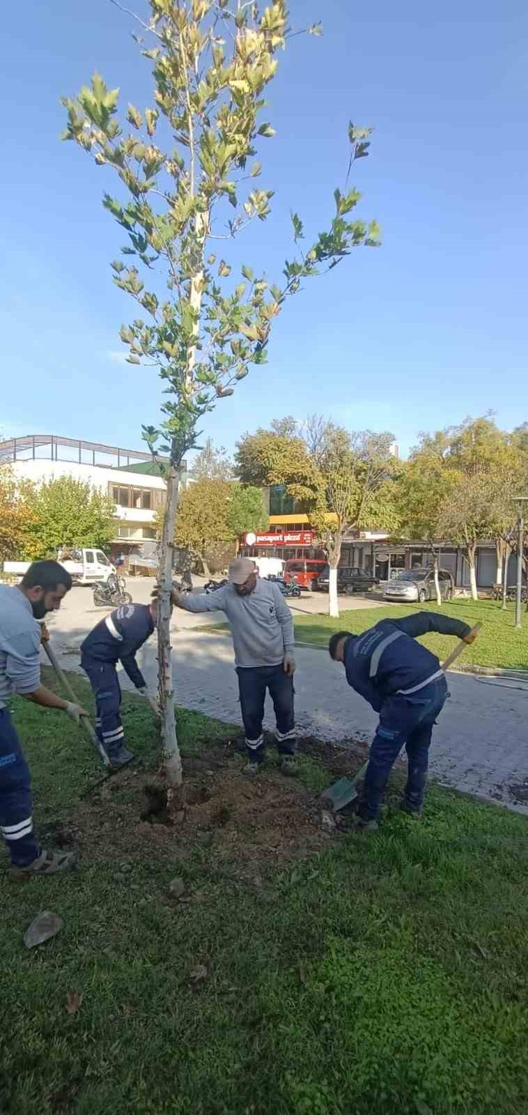 Yunusemre&rsquo;de ağa&ccedil;landırma &ccedil;alışmaları s&uuml;r&uuml;yor
