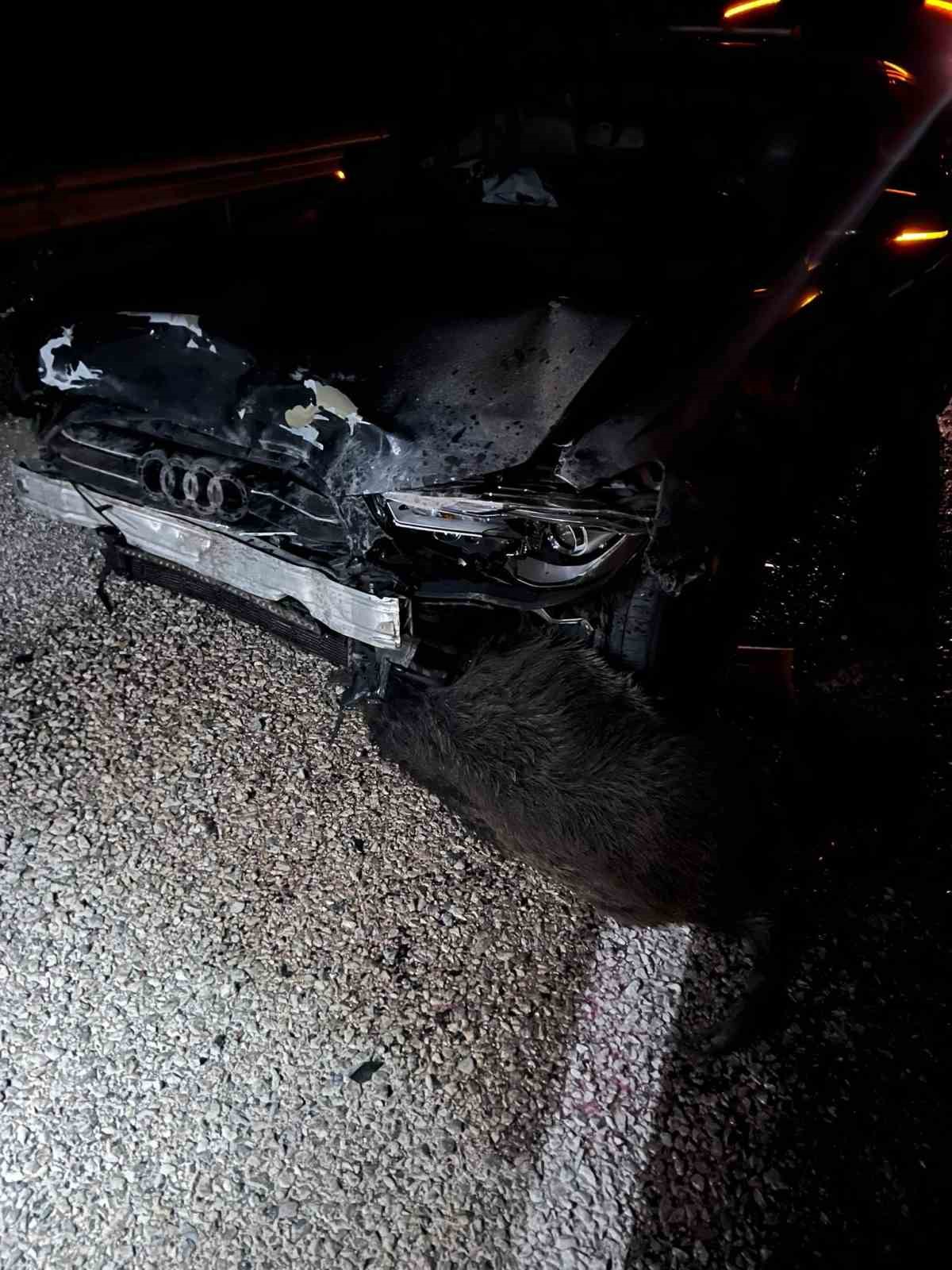 Sinop Belediye Başkanı Gürbüz’ün makam aracı domuz sürüsüne çarptı