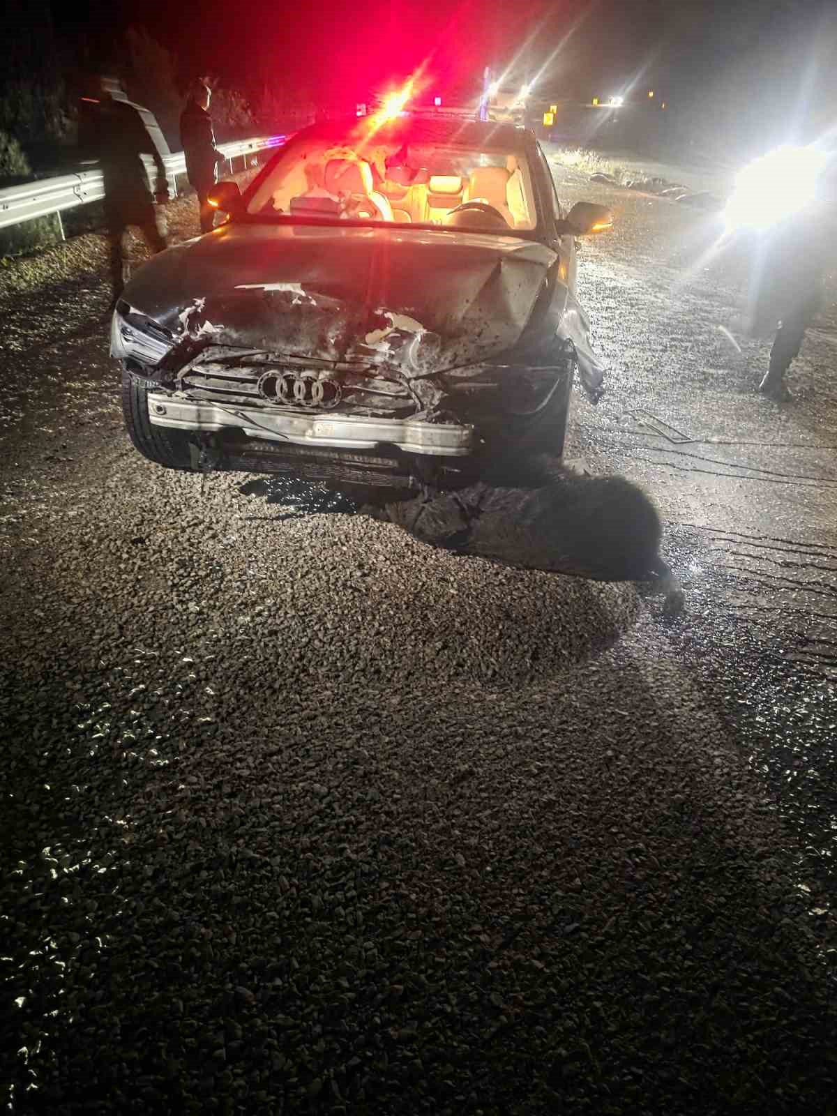 Sinop Belediye Başkanı’nın makam aracı domuz sürüsüne çarptı: Başkan kazayı yara almadan atlattı