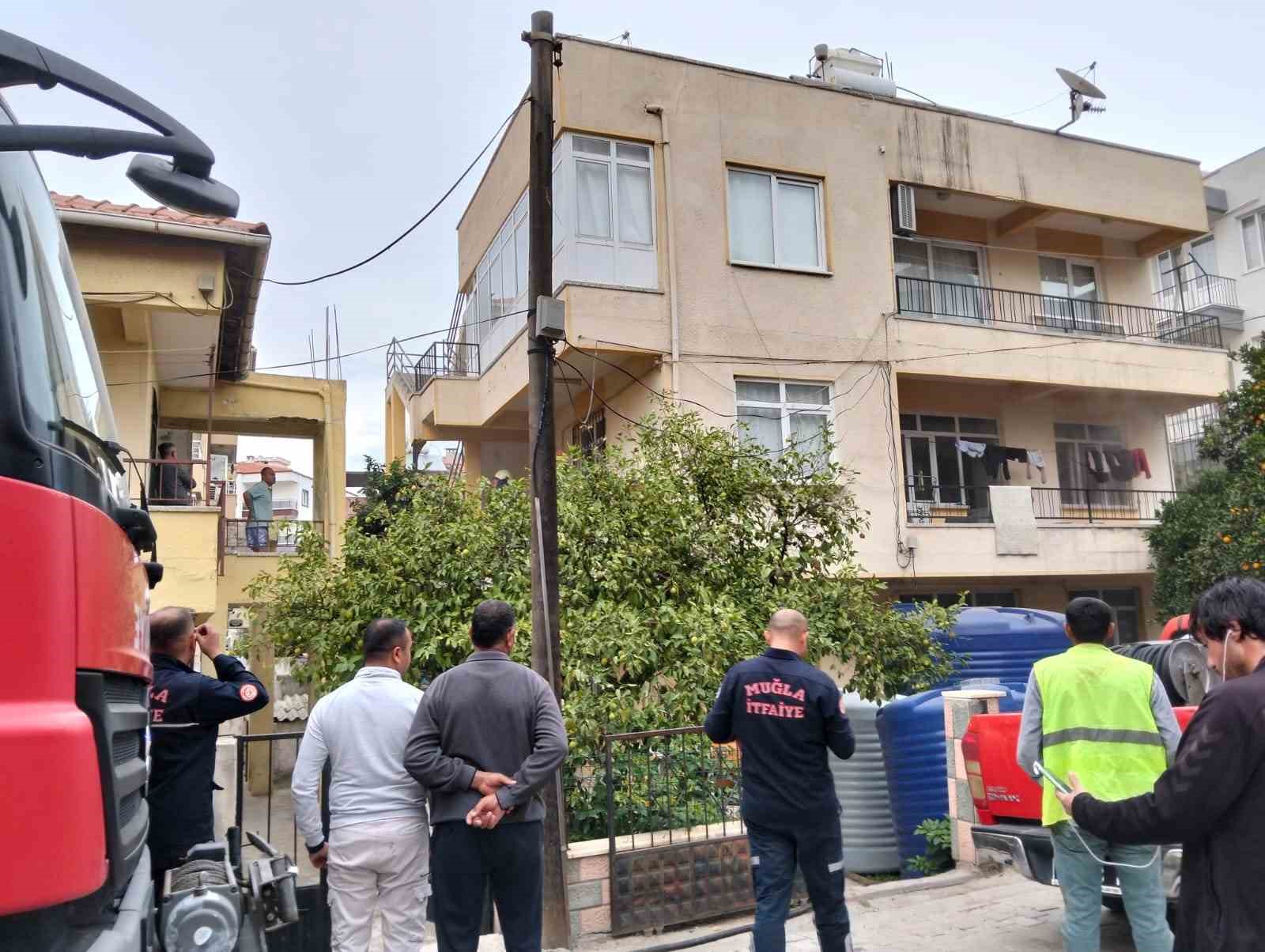Ocakta unutulan yemekten çıkan yangında 2 kedi telef oldu