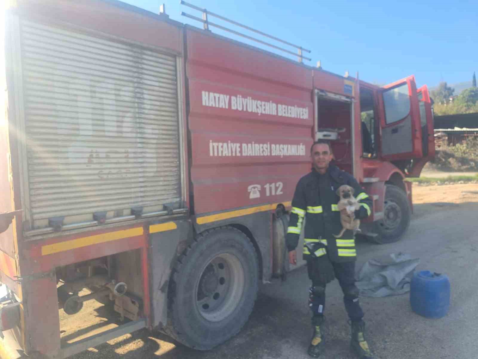 Hatay’da 6 metrelik çukurda mahsur kalan yavru köpeği itfaiye kurtardı