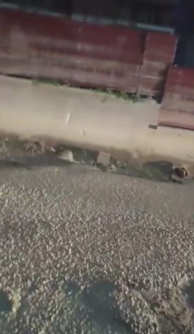 Yola beton döktü, "Benim firmam zengin, cezamızı öderiz" dedi
