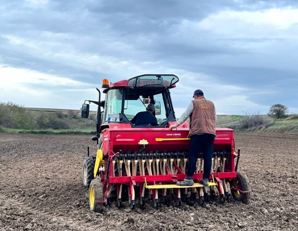 Pehlivanköy’de yerli ve milli arpa çeşidinin yaygınlaştırılması çalışmaları