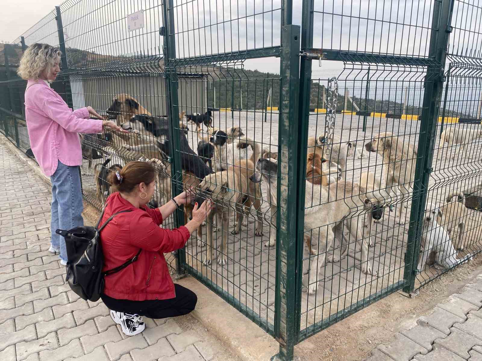 Alaşehir’de 30 dönümlük doğal yaşam alanı açıldı