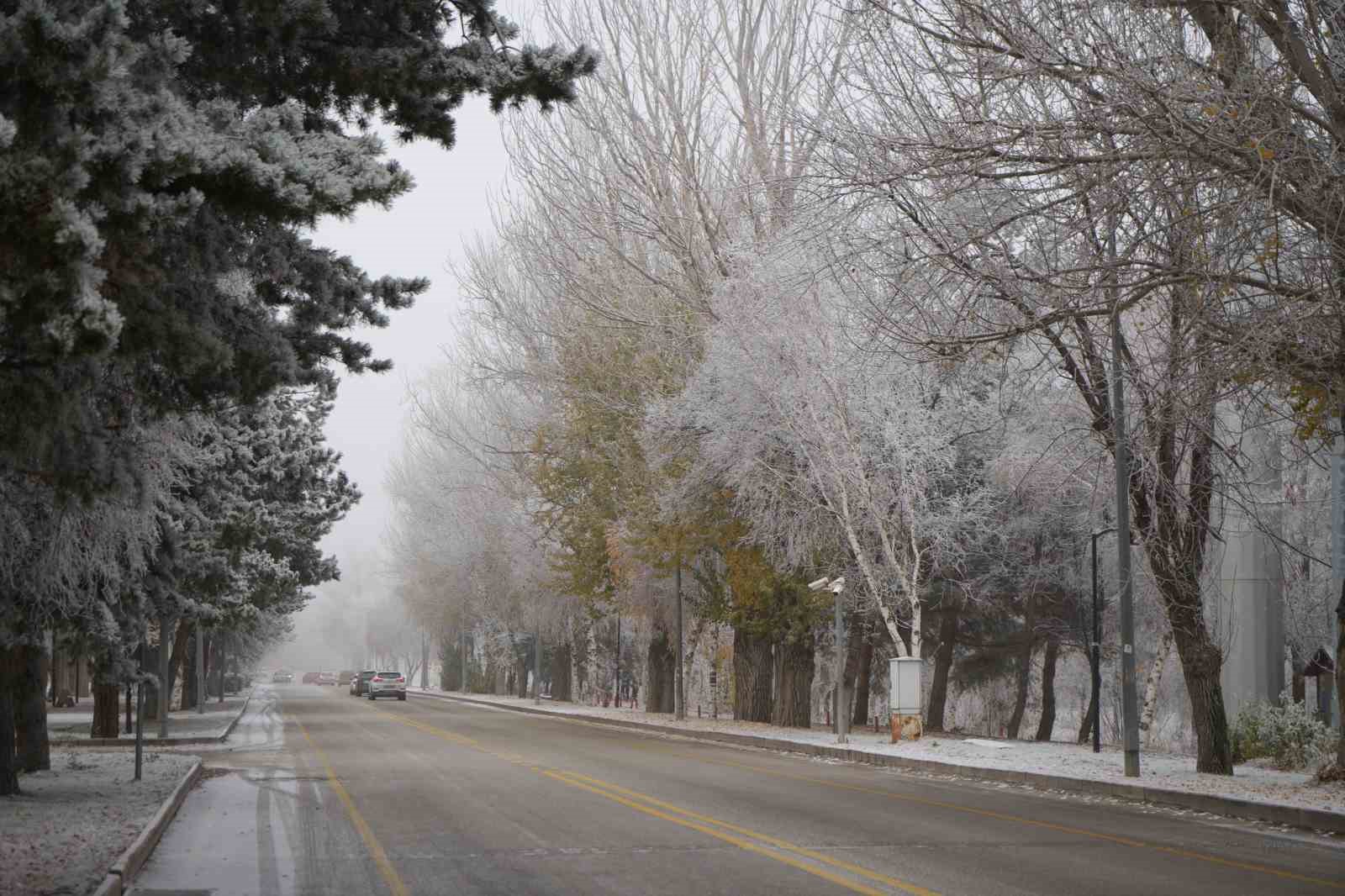 Erzurum g&uuml;ne sis ve kırağı ile uyandı
