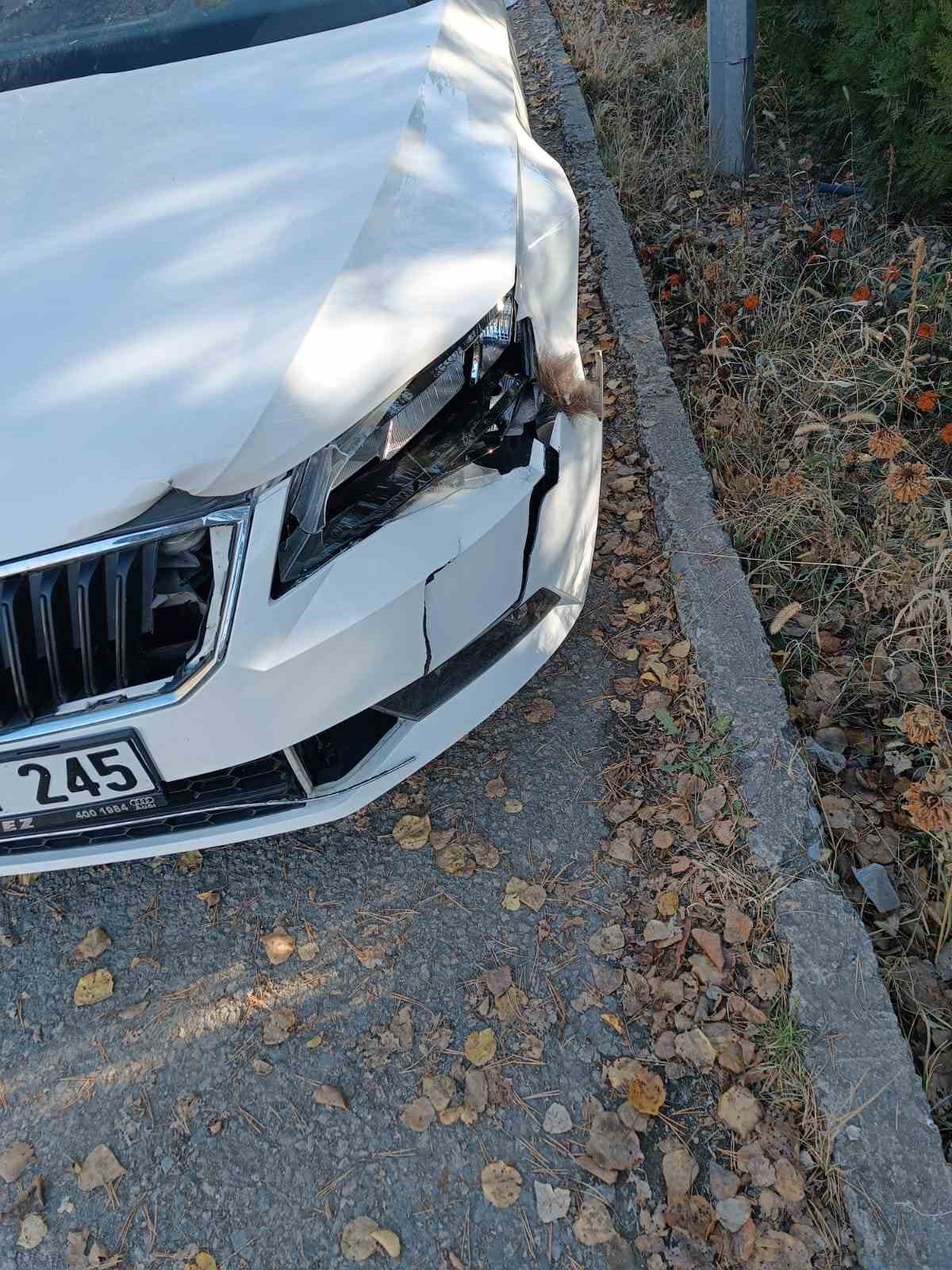 Otomobil ayıya &ccedil;arptı
