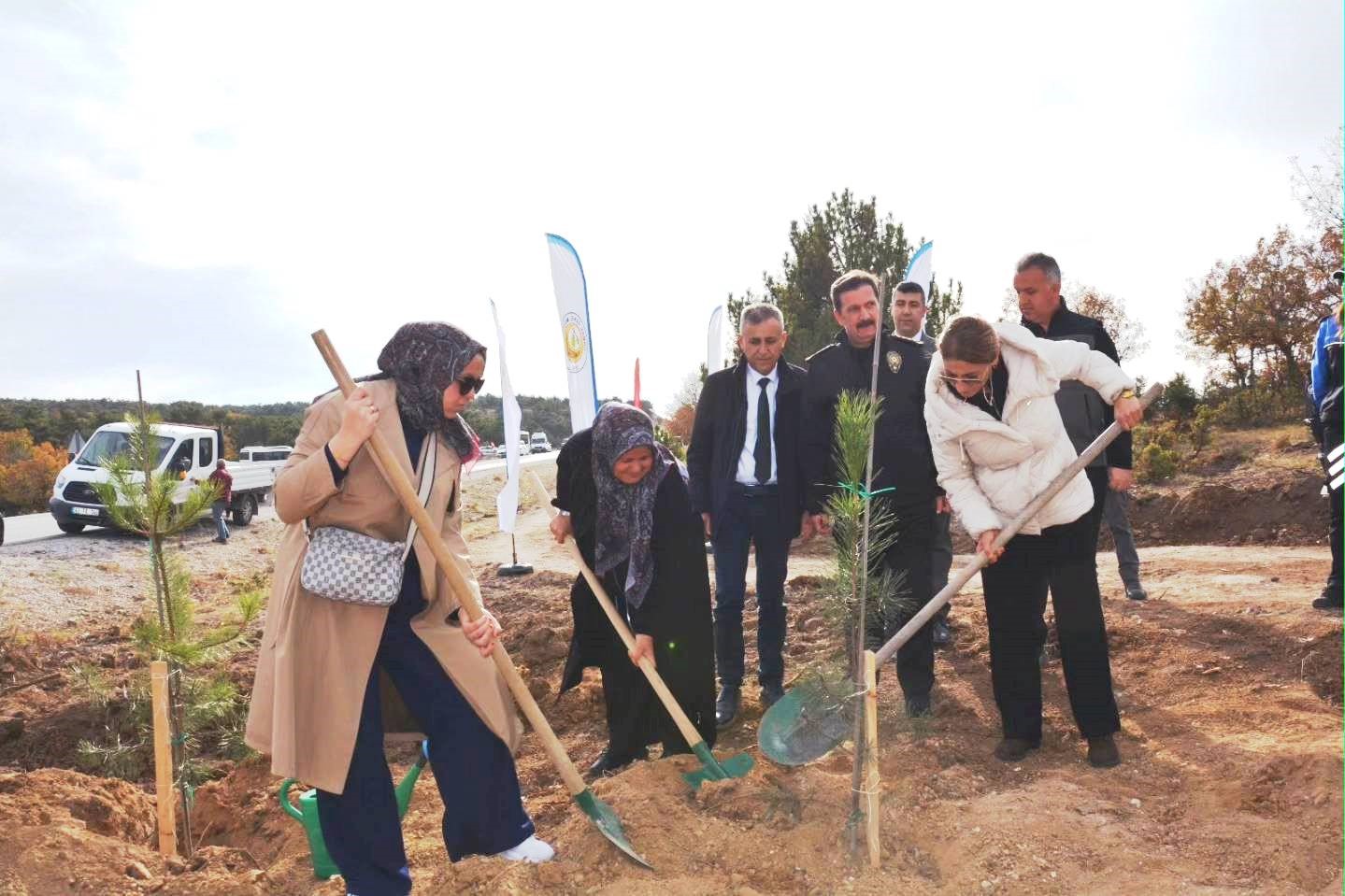 Kütahya’da şehitler için 350 fidan toprakla buluştu