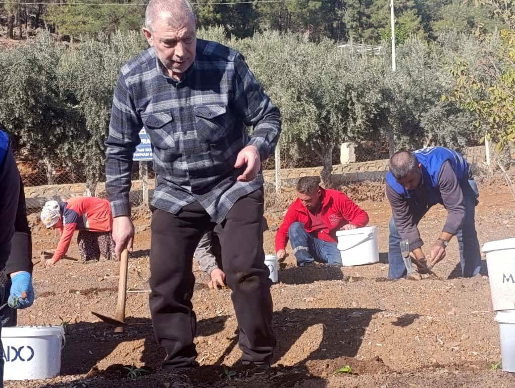 Salep toprakla buluşturuldu