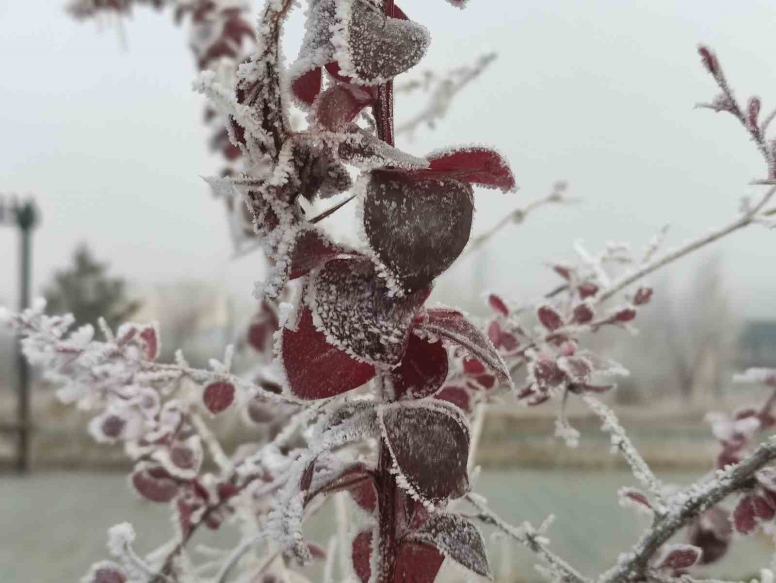 Göle eksi 13 derece, ağaçlar kırağı tuttu
