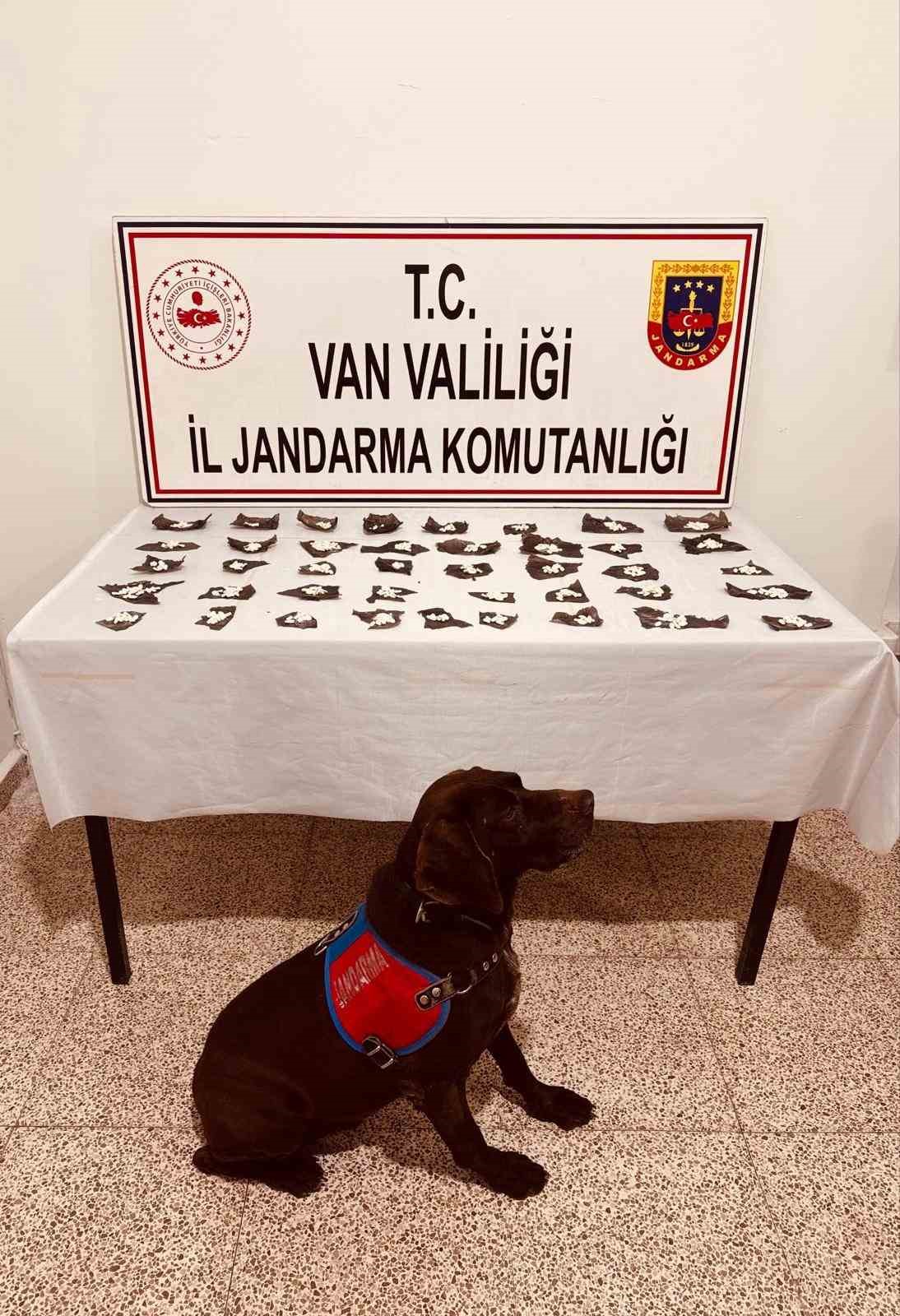 Kapsülün içinden ilaç yerine uyuşturucu çıktı