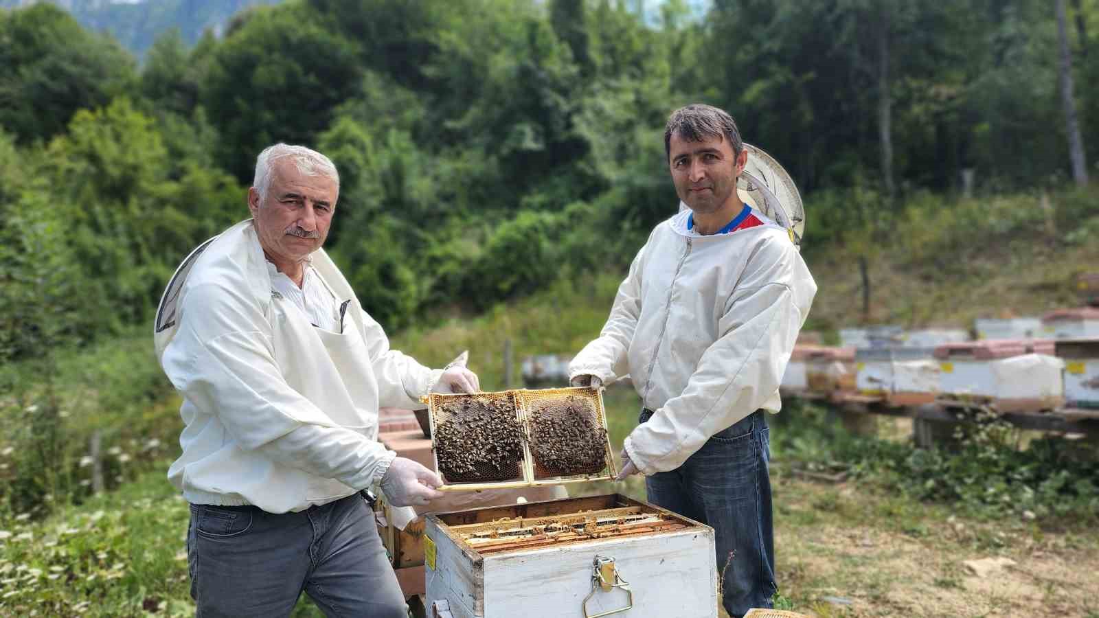 Türkiye’nin AB tescilli 43’üncü ürünü Yenice ıhlamur balı oldu