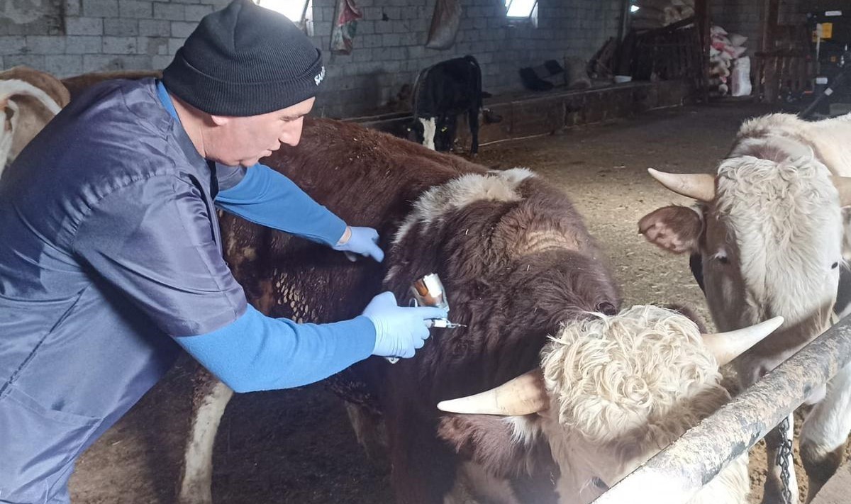 Beyşehir&rsquo;de şap aşısı seferberliği
