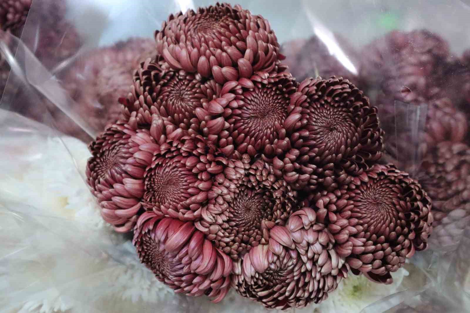 Çiçek mezatlarında Öğretmenler Günü hareketliliği