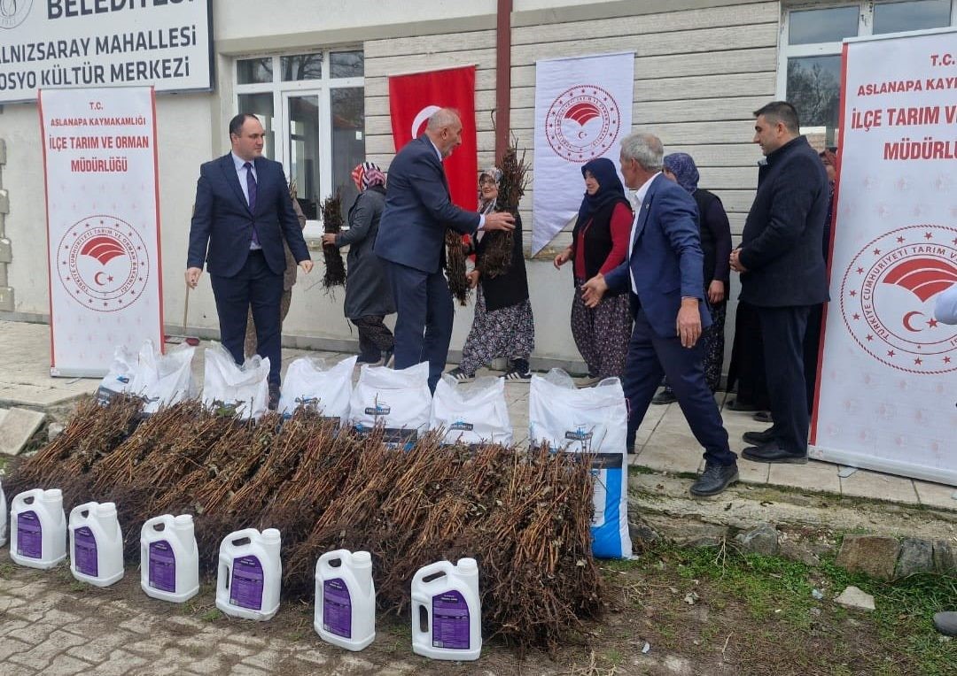 Aslanapa&rsquo;da 13 kadın &ccedil;ift&ccedil;iye y&uuml;zde 75 hibeli 7 bin adet ahududu fidanı dağıtıldı
