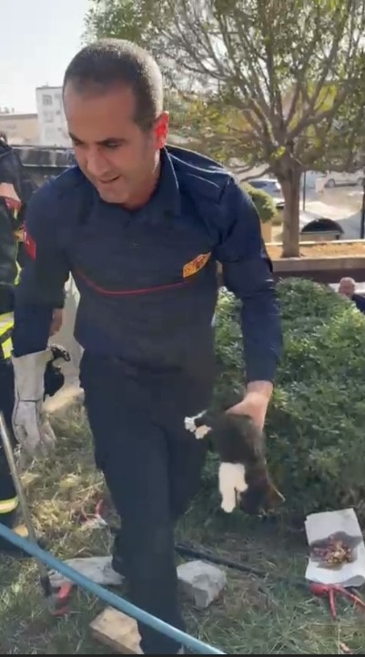 Konteyner ile duvar arasına sıkışan yavru kedi kurtarıldı

