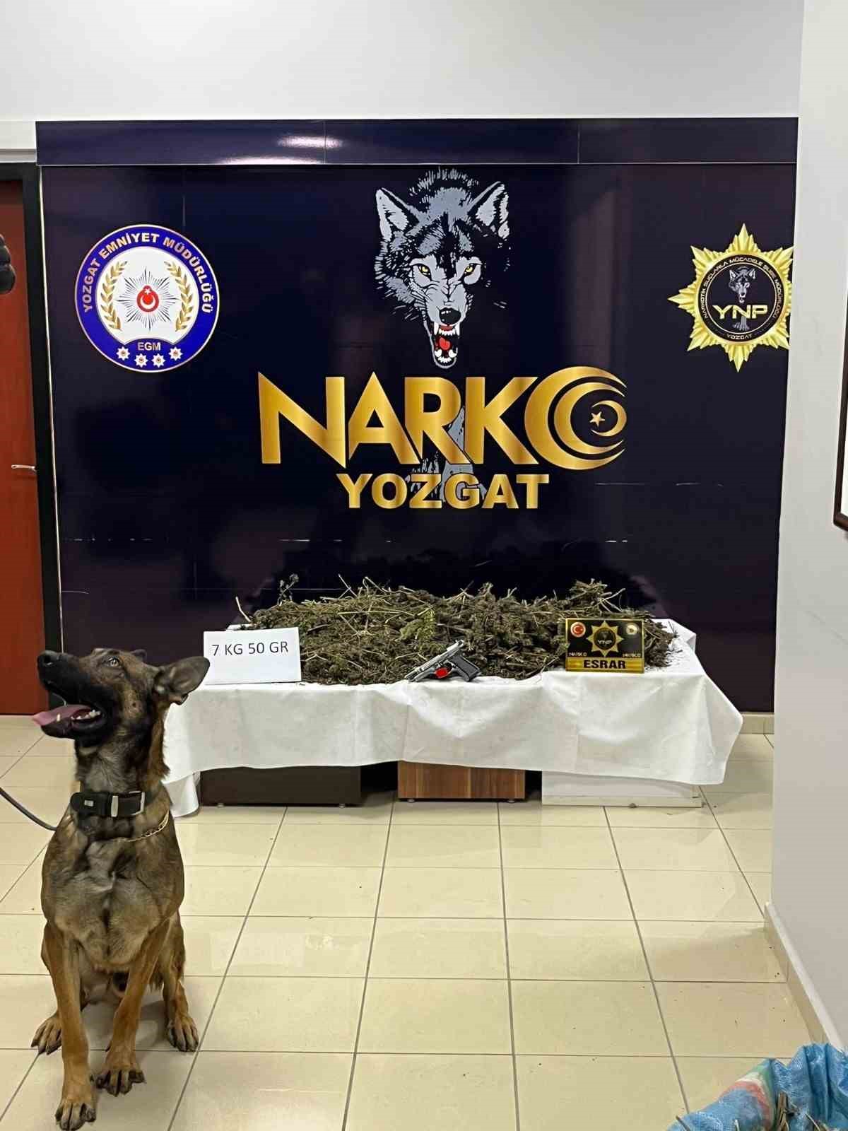 Yozgat’ta 7 kilo esrar ele geçirildi