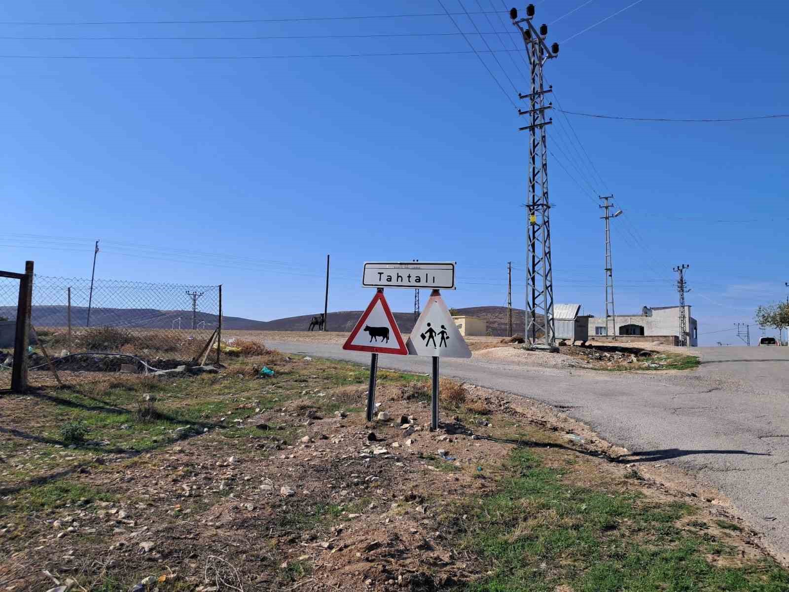 Kilis’te kurt saldırısında 3 küçükbaş telef oldu