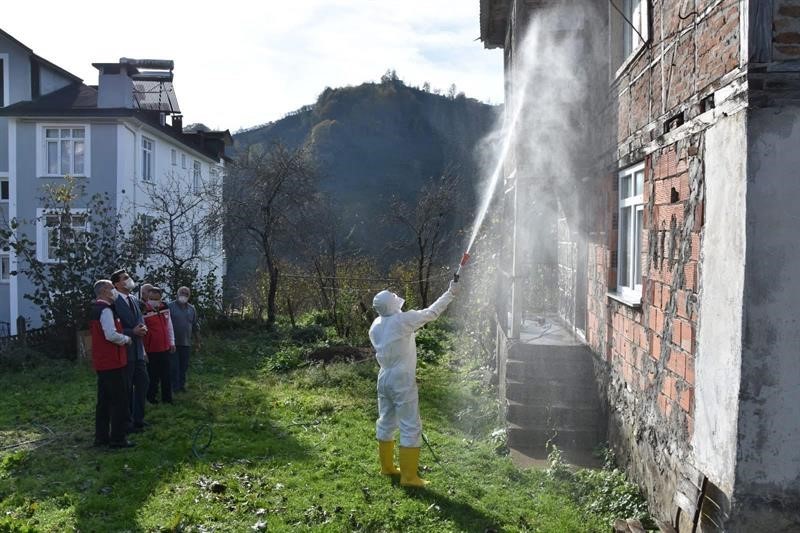 Ordu’da kokarcaya karşı 330 bin kışlak ilaçlanacak